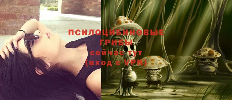 Галлюциногенные грибы Magic Shrooms  Краснослободск 